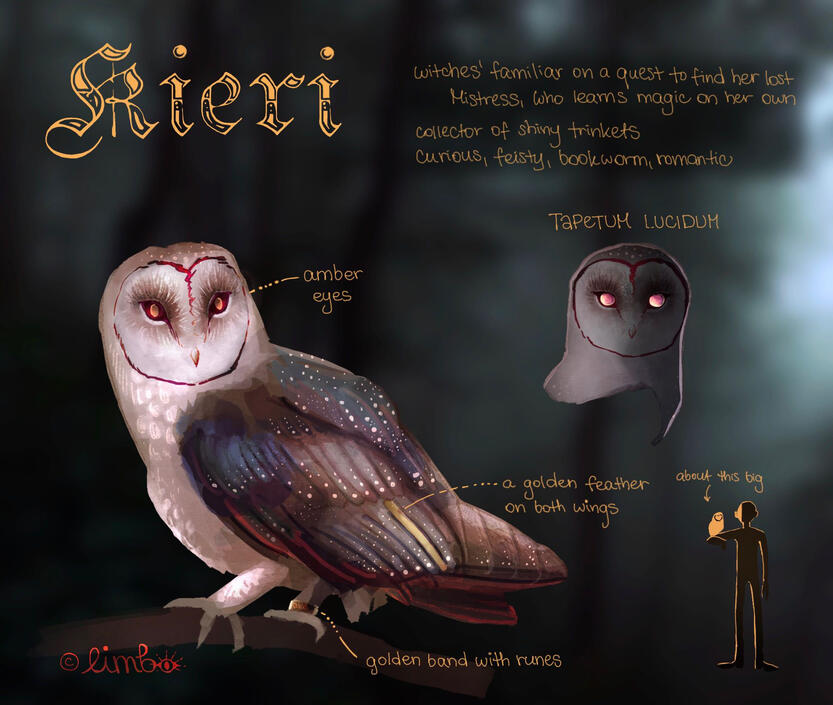 Owl Character Reference Sheet