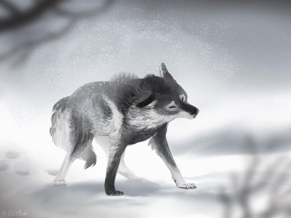 Wolf In Nature Cartoon Illustration